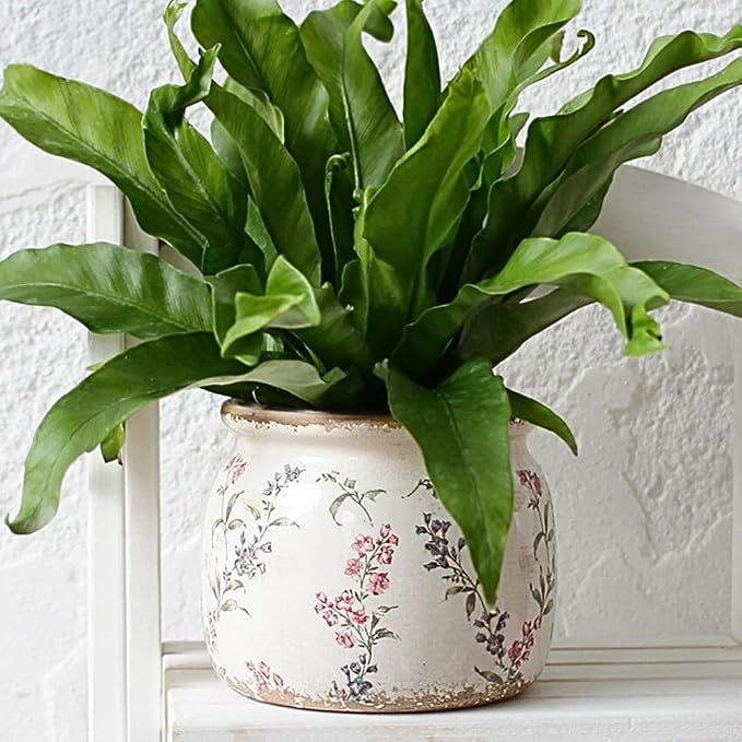 Xiaan Jiaju Flower Pots, Vintage Antique Ceramic Planters for Indoor Plants | 6.29" Decorative Vase & Plant Pots With Drainage, French Country Home Room Decor, Gardening & Housewarming Gifts