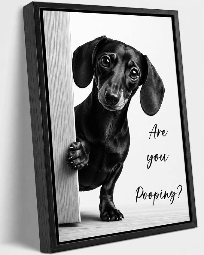 Framed Funny Bathroom Wall Art, Dachshund Are You Pooping Canvas Print, Minimalist Black and White Humor Bathroom Animal Decor for Restroom Toilet 8x10in