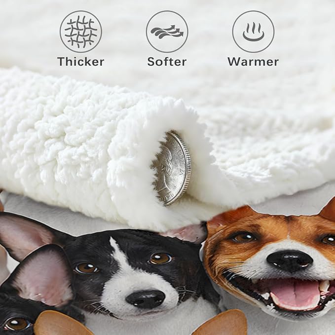 BlessLiving Fuzzy Dogs Blanket Adults Cute Blanket for | Sherpa; Reversible; Kids; BlessLiving Fuzzy Dogs Blanket Adults Cute; for; Puppy; Fleece; Animal; Pattern; Throw; Basenji