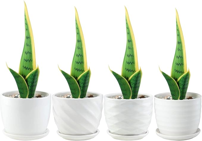 sietpoek 4.7” Ceramic Plant Pots with Drainage and Saucer 4PCs White | White Ceramic Flower Pots with Drainage Hole and Saucer, Decorative Planter for Indoor Outdoor Garden Plants Succulen