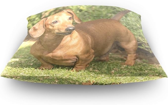 Hokkien Dachshund Dog Decorative Square Throw Pillow Case Cushion Cover for Sofa Bedroom Car Double-Sided Design 20 x 20 inch