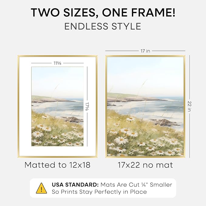 Homeforia 17x22 Gold Picture Frame, High-End Metal, 12x18 Mat, Glass
