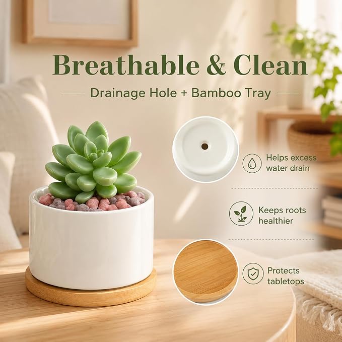 ZOUTOG 6 Pack 3.6" Ceramic Succulent Pots,White Planter with Drainage Tray