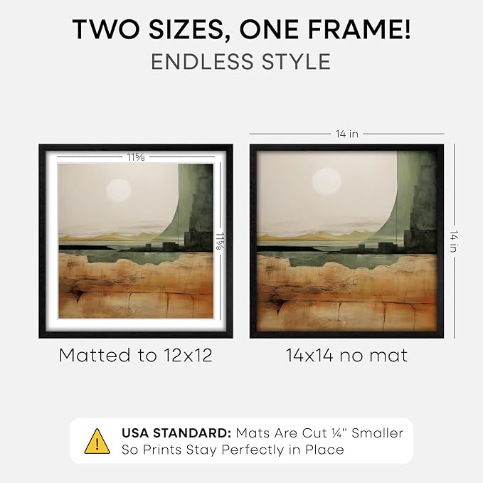Homeforia 14x14 Black Oak Picture Frame, High-End Wood, 12x12 Mat, Glass