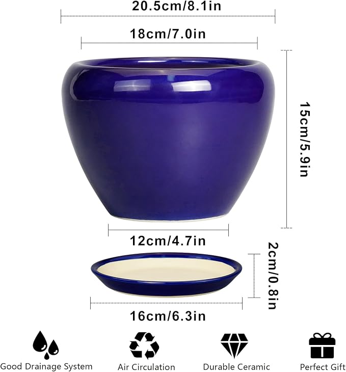 Ceramicfor Ceramic Plant Pot 8 Inch, Planter for Indoor Plants, Royal Blue | Indoor Plant Pot with Drainage Hole and Saucer, Round Planter, Modern Flower Pot, House Decor, Plant Lovers Gifts
