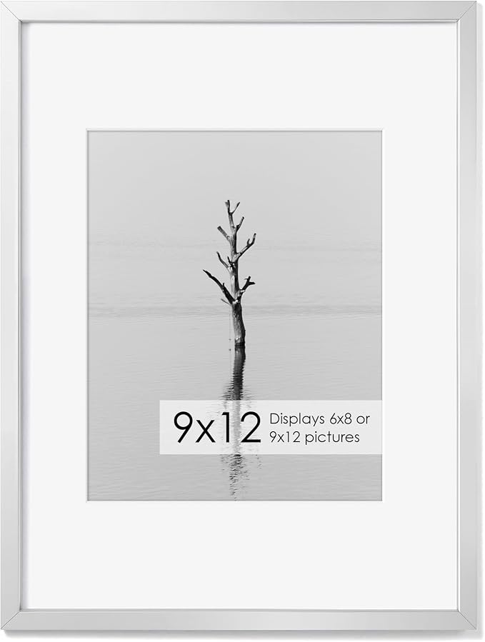 Fun Memories 9x12 Metal Picture Frame- 9x12 Aluminum Photo Frames with 6x8 Mat, High-Definition Plexiglass Front, and Hanging Hardware - Ideal for Wall or Tabletop Display (Silver, Pack of 1)