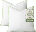 Ashler Home Deco Synthetic Down Pillow Inserts, 16x16 Down Alternative Throw Pillows Insert Sleeping Pillows with 100% Cotton Cover Decorative Pillow Stuffer for Sofa, Couch Bed(Set of 2, White)