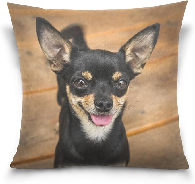 Hokkien Cute Smiling Black Chihuahua Decorative Square Throw Pillow Case Cushion Cover for Sofa Bedroom Car Double-Sided Design 18 x 18 inch