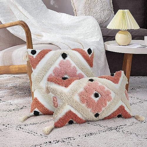 Merrycolor Boho Throw Pillow Covers 18x18 with Tassels Tufted Pink Throw Pillows Modern Farmhouse Decorative Pillows Cover for Bed Couch Sofa Bedroom,1PC