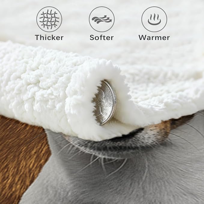 BlessLiving Throw Blanket, Dog, Twin | sherpa fleece fabric, Basenji Lined Pet Lovers Blankets print, for pet lovers, easy machine care