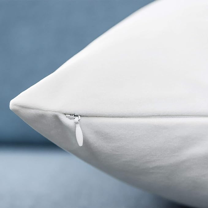 JUSPURBET 16x24 Lumbar Velvet Throw Pillow Covers Set of 2,White