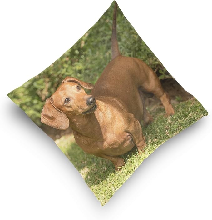 Hokkien Dachshund Dog Decorative Square Throw Pillow Case Cushion Cover for Sofa Bedroom Car Double-Sided Design 20 x 20 inch