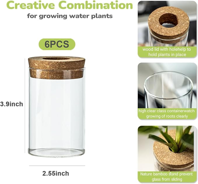 Glass Plant Propagation Station Set of 6, Modern Desktop Flower Vase for Succulent Cuttings, Home Office Decoration, Ideal Housewarming Gift for Living Room, Bedroom