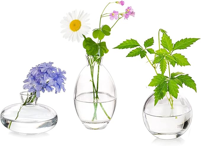Glass Bud Vases Set of 3, Hewory Cute Clear Small Vases Handmade, Mini Glass Flower Vase for Floral Arrangement, Tiny Centerpiece for Wedding Party Events Home Office Table Decor (Not Include Flower)