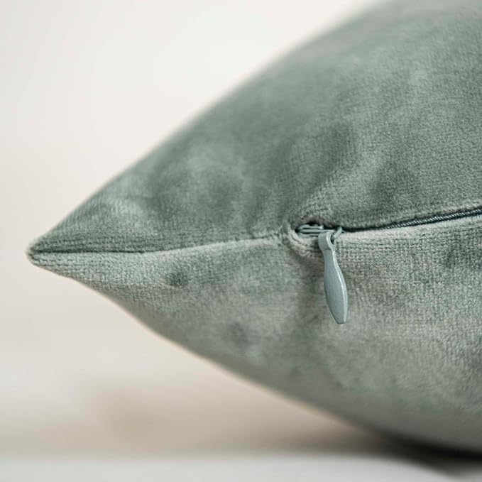 Eucalyptus Decorative Velvet Throw Pillow Covers 16x16 inch Set of 2 with Zipper Luxury Soft Solid Square Cushion Covers Case for Sofa Couch Bed Living Room
