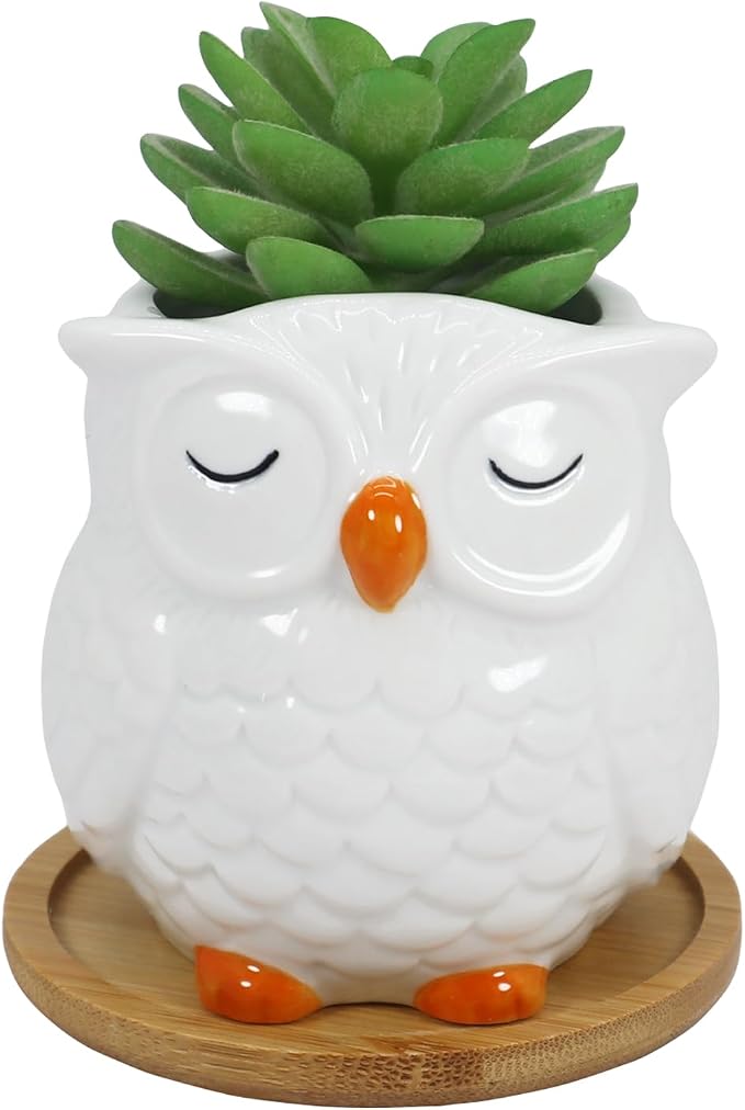 Gemseek Cute White Ceramic Owl Succulent Planter Pot with Drainage Tray