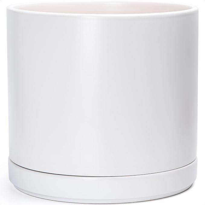 D'vine Dev 16 Inch Ceramic Planter Pot, White, 94-O-H-1 | Modern Cylinder Design, Drainage Hole & Saucer Included, Stable Structure, Elegant Home Accent