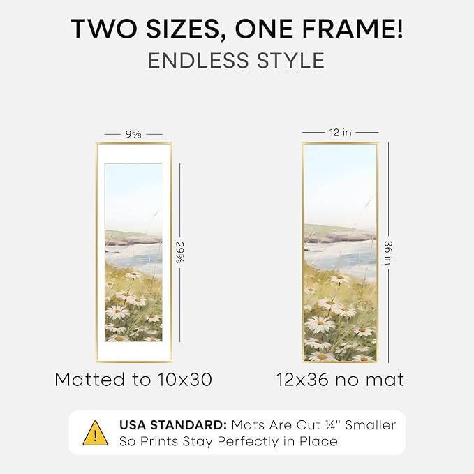 Homeforia 12x36 Gold Picture Frame, High-End Metal, 10x30 Mat, Glass