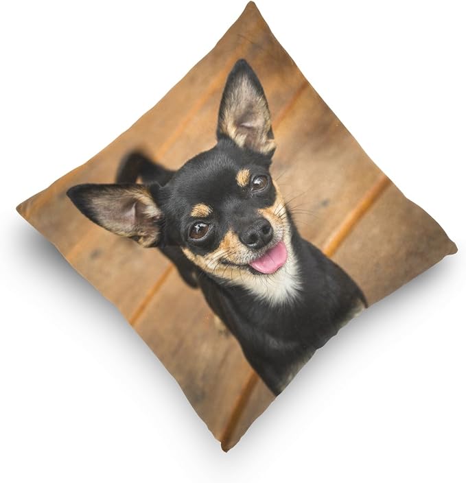Hokkien Cute Smiling Black Chihuahua Decorative Square Throw Pillow Case Cushion Cover for Sofa Bedroom Car Double-Sided Design 16 x 16 inch