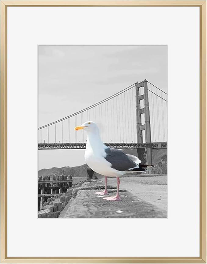 Frametory 16x20 Gold Aluminum Metal Picture Frame Mat for 11x14 Glass