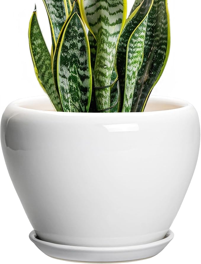 Ceramicfor Ceramic Pot for Plants, 8 Inch Planter, Glossy White | Plant Pot with Drainage Hole and Saucer, Round Planter for Indoor Plants, Modern, Plant Lover Gifts, Home Office Garden Decor