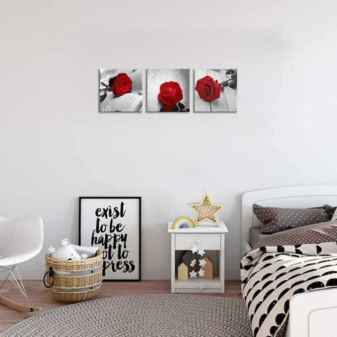 NAN Wind 3 Pcs Modern Canvas Painting Black and White Red Rose Canvas Art Abstract Wall Art Decorations Flower Picture on Canvas for Home Decor (14X14inchX3Pcs, B-Rose)