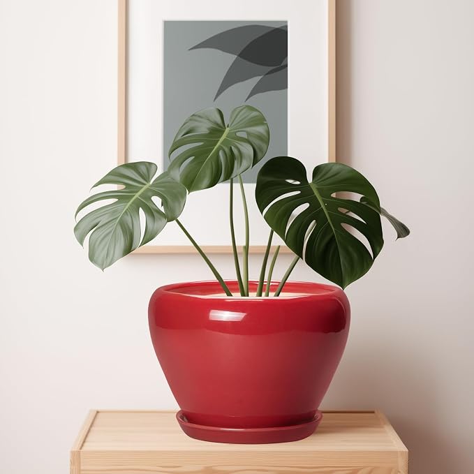 Ceramicfor 10 Inch Plant Pot, Ceramic Planter for Indoor Plants, Glossy Red | Round Planter with Drainage Hole and Saucer, Glaze, Modern, Home Room Garden Decor, Gifts for Plant Lovers