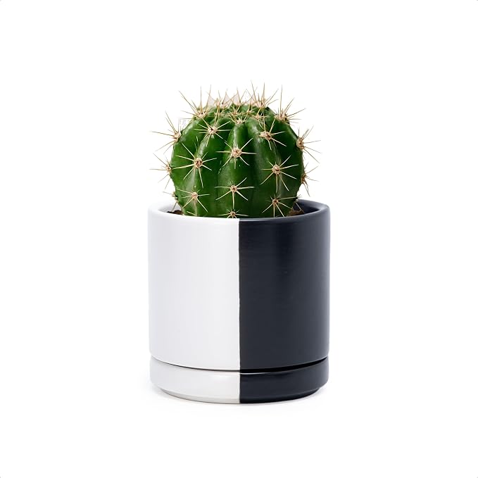 D'vine Dev 3.5 Inch Ceramic Planter Pot, Black White Split, 94-O-A-0 | Modern Cylinder Design, Drainage Hole & Saucer Included, Stable Structure, Elegant Home Accent