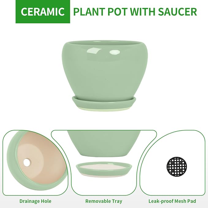 Deep Dream 8 Inch Plant Pots- Ceramic Pots for Plants with Drainage Hole and Saucer, Large Planter Pot for Indoor Plants Outdoor Decor, Mint Green