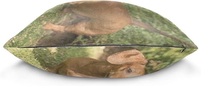 Hokkien Dachshund Dog Decorative Square Throw Pillow Case Cushion Cover for Sofa Bedroom Car Double-Sided Design 20 x 20 inch