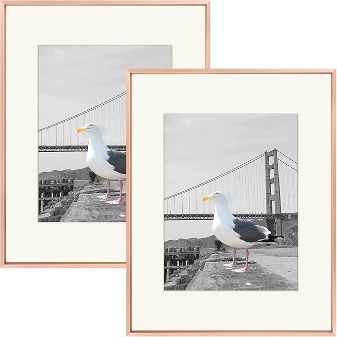 Frametory 16x20 Rose Gold Aluminum Metal Picture Frame Mat for 11x14 Glass