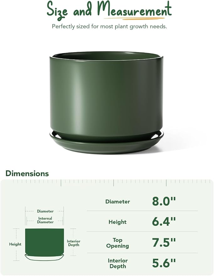 LE TAUCI Ceramic Pots for Plants, 8 Inch Plant Pot with Drainage Hole & Saucer, Modern Planters for Indoor Plants, Round Flower Pot for Snake Plant, Monstera, Perfect for Home Decor, Forest Green