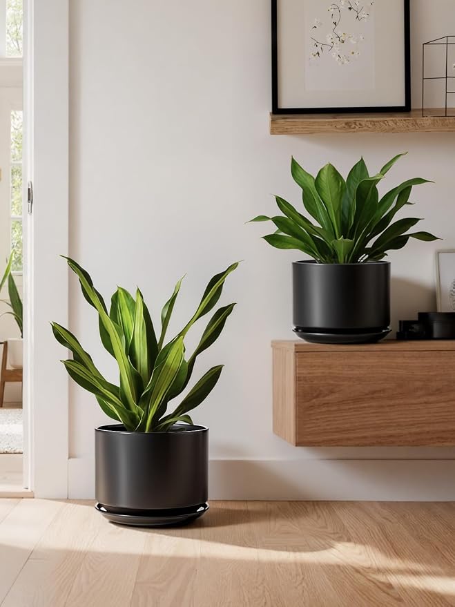 LE TAUCI Ceramic Pots for Plants, 10 Inch Plant Pot with Drainage Hole & Saucer, Sturdy & Modern Planters for Indoor Plants, Includes Mesh Screen, Fits Snake Plant & Monstera, Black