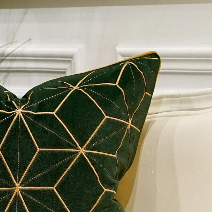 Avigers Throw Pillow Cover 20 x 20 Inch, Green Gold, Velvet, Hidden Zipper