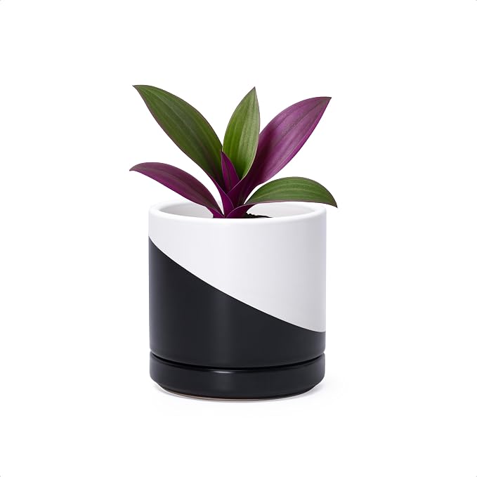 D'vine Dev 3.5 Inch Ceramic Planter Pot, Black White Diagonal, 94-O-A-K | Modern Cylinder Design, Drainage Hole & Saucer Included, Stable Structure, Elegant Home Accent