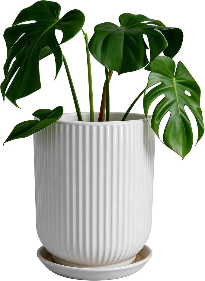 Deep Dream 8 Inch Ceramic Pots for Plants, Heavy Plant Pot for Indoor Outdoor Plants, Large Plant Pot with Drainage Hole and Saucer, Modern Tall Flower Pot, Gifts for Plant Lovers, White