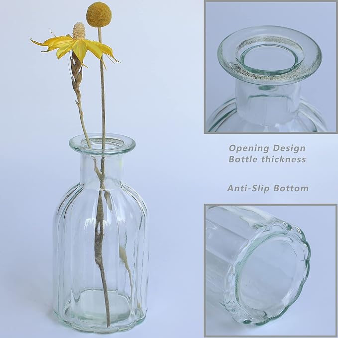 Set of 12 Glass Vases Bud Vases in Bulk, Small Vase for Flowers (Pack of 2)