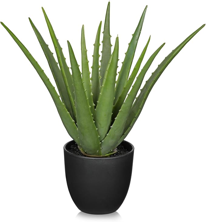 GnFlus Fake Succulent Aloe Vera Plants 13 Inch Large Artificial Succulents with Black Pot Faux Aloe Potted Plant for Desk Modern Home Office Bedroom Living Room Table Shelf Decor