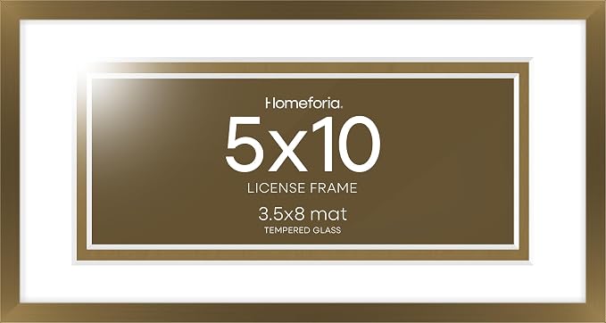 Homeforia 5x10 Bronze License Frame, High-End Metal, 3.5x8 Mat, Glass