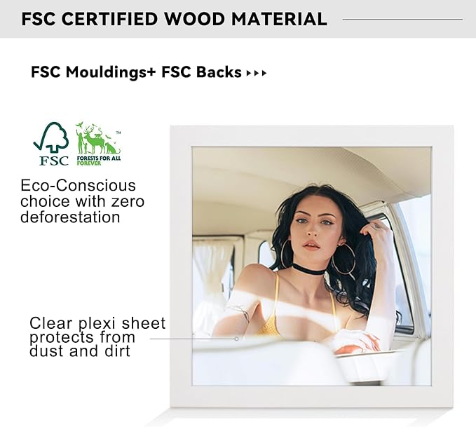 16x16 Picture Frame-White,12x12 Mat,Engineered Wood,Polished Plexiglass