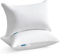 Oubonun 12x20 Lumbar Throw Pillow Inserts 2 Pack, 100% Cotton Breathable Cover Plump Rectangle Square Cushion Inserts White Decorative Pillows for Living Room Bedroom Office