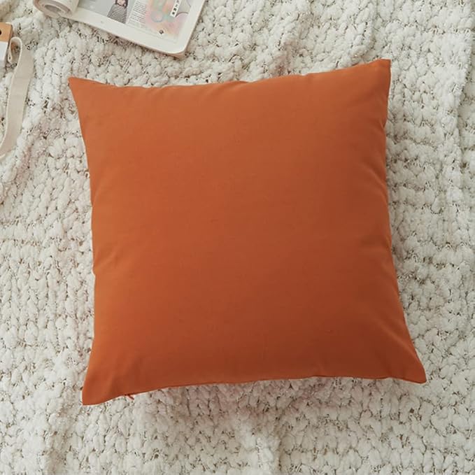 HOPLEE Fall Orange Farmhouse Pillow Covers 22x22 Orange Throw Pillow Covers Cushion Cover with Buffalo Plaid, Solid Orange, Striped and Gingham Plaid Design 22x22 inches,4 Pack