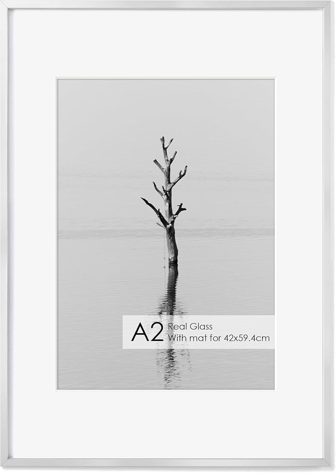 Fun Memories A2 Picture Frame Silver, High End Metal 16.5 x 23.5 Poster Frames for Wall, A2 Photo Frame with Mat A3, Tempered Glass, 1 Pack