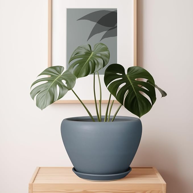 Ceramicfor 10 Inch Plant Pot, Ceramic Planter, Matte Gray | Planter for Indoor Plants, Large Plant Pot with Drainage Hole and Saucer, Round Planter, Modern Flower Pot, Home Decor