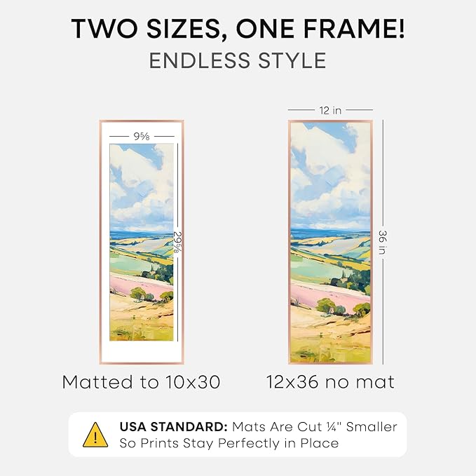 Homeforia 12x36 Rose Picture Frame, High-End Metal, 10x30 Mat, Glass