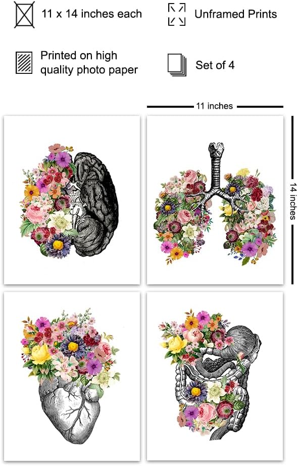 Steampunk Human anatomy Art Poster Set 11x14 - Unique Hospital Wall Decor for Doctor, Nurse, Physician - Great Nurse Gifts - Photos of Heart, Lungs, Brain, Intestines - Gothic Home Decor - Unframed