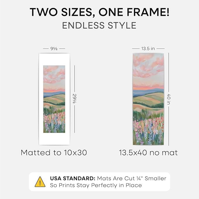 Homeforia 13.5x40 Silver Picture Frame, High-End Metal, 10x30 Mat, Glass