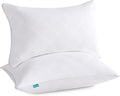 Oubonun 12 x 20 Pillow Inserts (Set of 2), Rectangle Square Interior Sofa Pillow Insert Pair, White Decorative Lumbar Pillow for Bed Couch Living Room