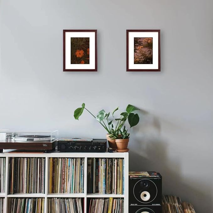 VIOLABBEY 8x10 Picture Frames Deep Brown Set of 2 with Real Glass Front