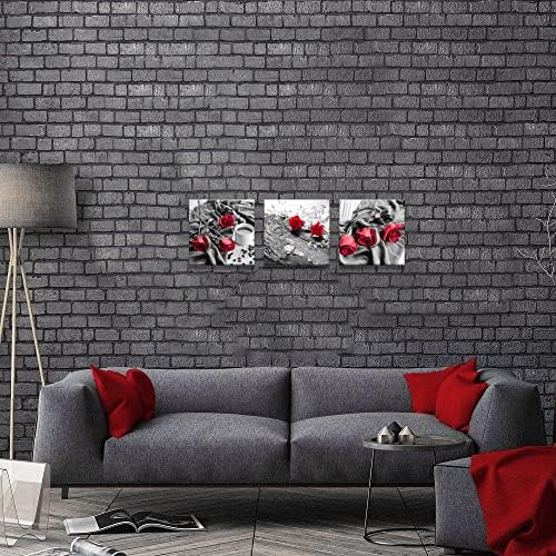 NAN Wind Canvas Print 3 Pcs Black and White Red Rose Canvas Art Painting Abstract Wall Art Decorations Flower Picture on Canvas for Home Decor Stretched and Framed (14X14inchX3pcs, B&w Rose)